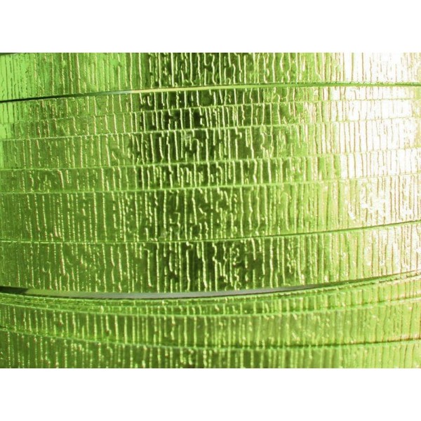 2 Mètres fil aluminium plat strié vert pomme 5mm Oasis ® - Photo n°1