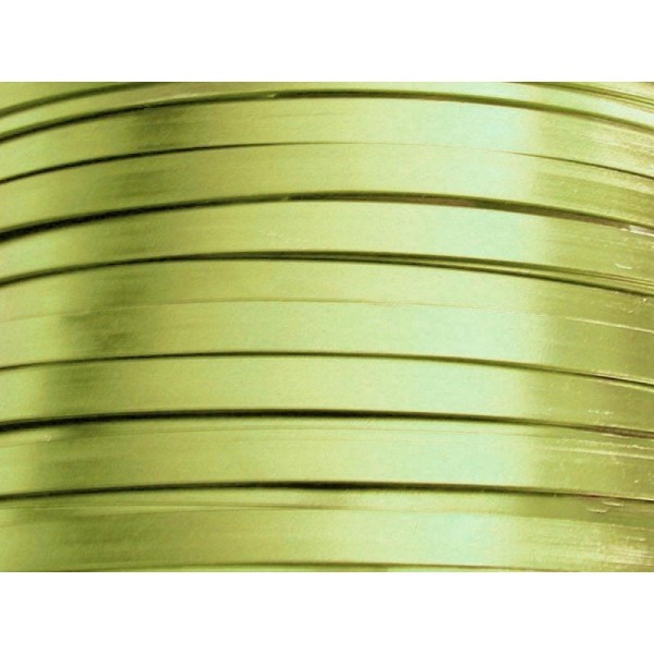 1 Mètre fil aluminium plat vert pomme 5mm Oasis ® - Photo n°1