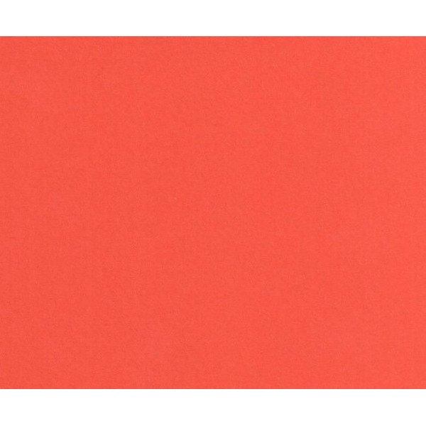 Du Papier de couleur (10p) A4 Rouge Et Orange 220 g / M2, Papier de Fond, Journal de l'Art, Ursus Fe - Photo n°1