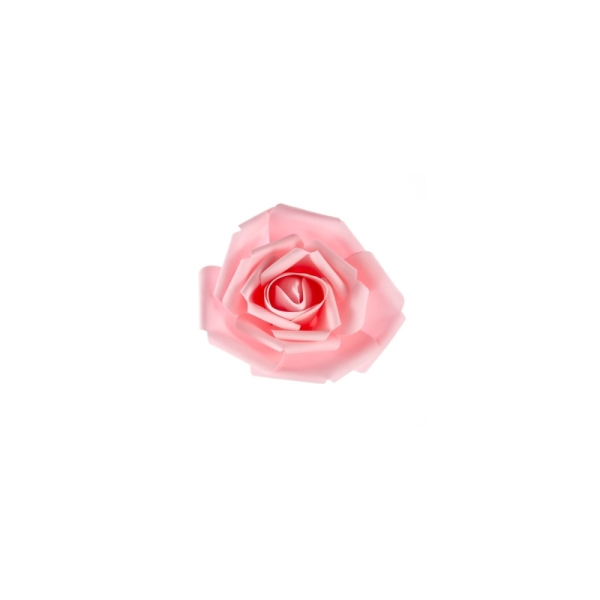 Rose géante rose - Photo n°1