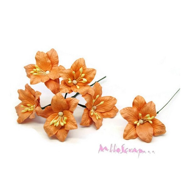 Fleurs papier lily orange - 5 pièces - Photo n°1