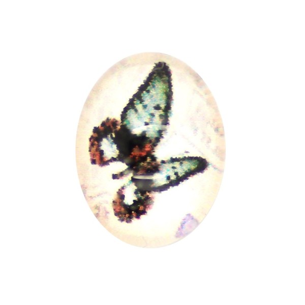 10x Cabochon Ovale Imprimé Papillon 10mm - Photo n°1