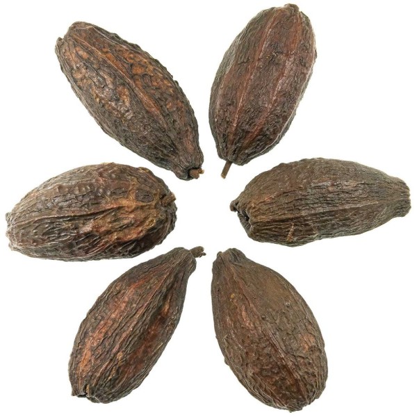 Cabosses de cacao déco - Lot de 3. - Photo n°1