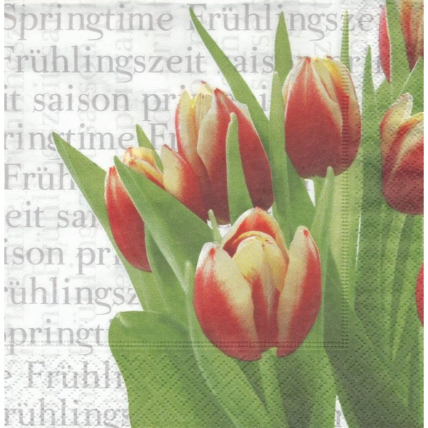 4 Serviettes en papier Fleurs Tulipes Printemps Format Lunch Decoupage 21258 Paper+Design - Photo n°1