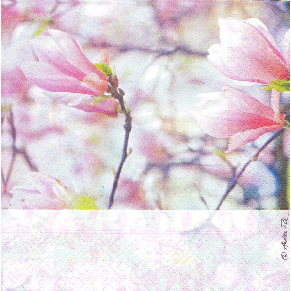 4 Serviettes en papier Fleur Magnolia Format Lunch Decoupage Decopatch LN0367 Colourful Life - Photo n°1