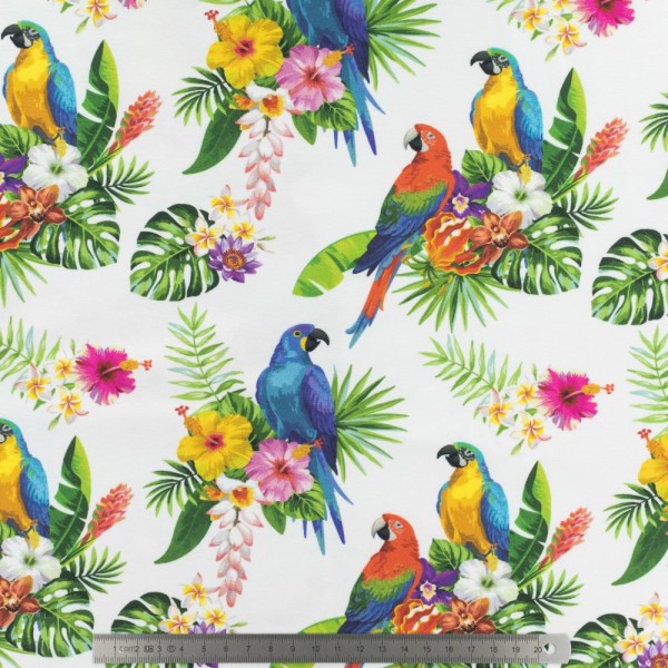 Tissu STENZO jersey digital print - perroquets et tropiques - 50cm - Photo n°1