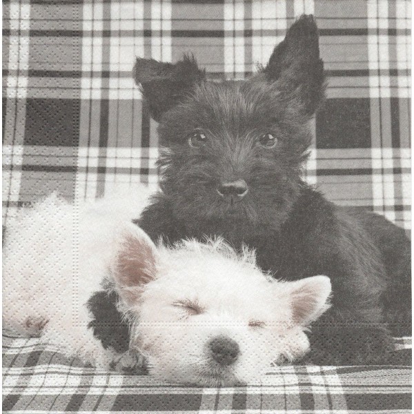 4 Serviettes en papier Chien Terrier Black & White Format Lunch Decoupage LN0841 Colourful Life - Photo n°2