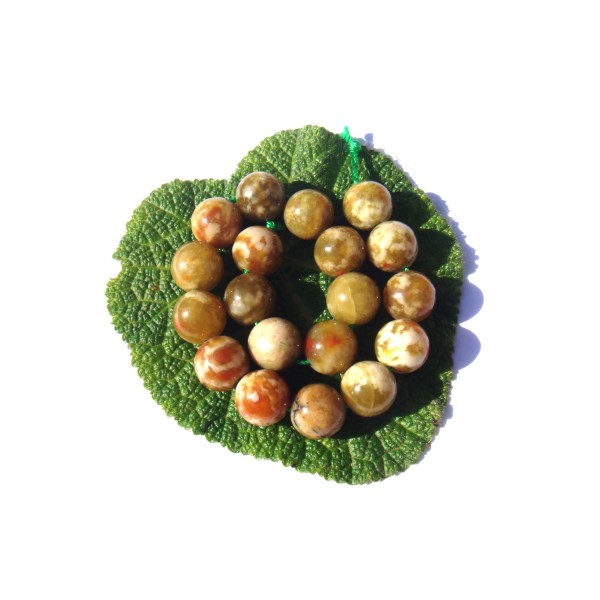 Serpentine multicolore : 5 perles 10 MM de diamètre - Photo n°2