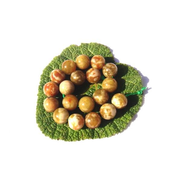 Serpentine multicolore : 5 perles 10 MM de diamètre - Photo n°1