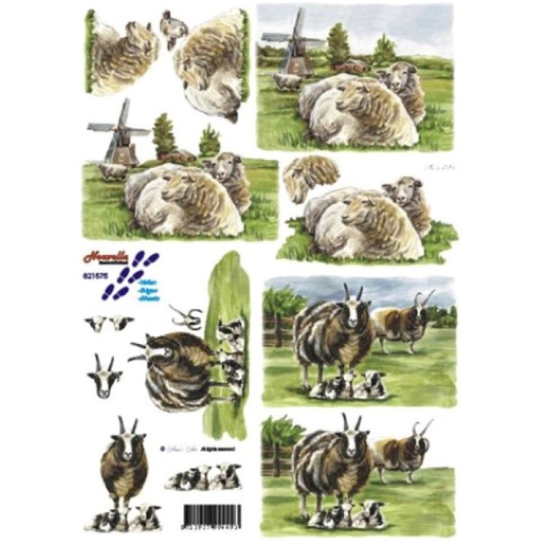 Carte 3D à découper - Moutons et boucs - 821575 - Photo n°1
