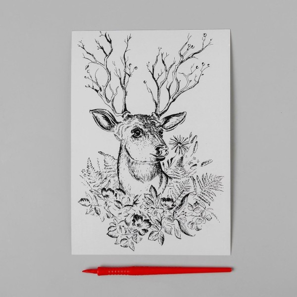 Cerf Scratch Art Kit de BRICOLAGE, Argent Métallisé Effet Holographique, Gravure Trousse d'Artisanat - Photo n°2