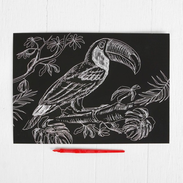 Le Toucan Animal Scratch Art Kit de BRICOLAGE, de l'Or Métallique Effet, la Gravure Trousse d'Artisa - Photo n°2