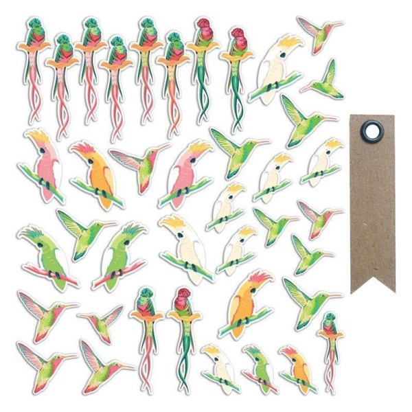 40 formes découpées Oiseaux tropicaux + 20 étiquettes kraft Fanion - Photo n°1