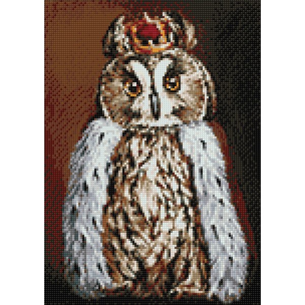 Broderie Diamant Kit Wizardi-Owl King WD2468 27*38cm - Photo n°2