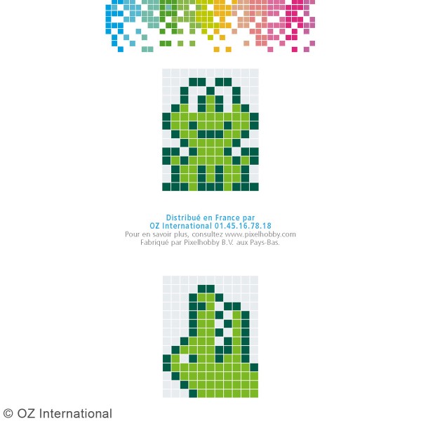 Kit créatif Pixel - porte-clés 4 x 3 cm - Grenouille - Photo n°4