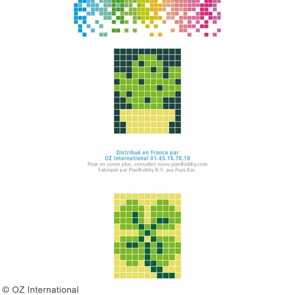 Kit créatif Pixel - porte-clés 4 x 3 cm - Cactus - Photo n°4