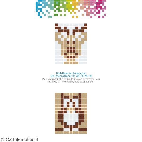 Kit créatif Pixel - porte-clés 4 x 3 cm - Rennes - Photo n°4