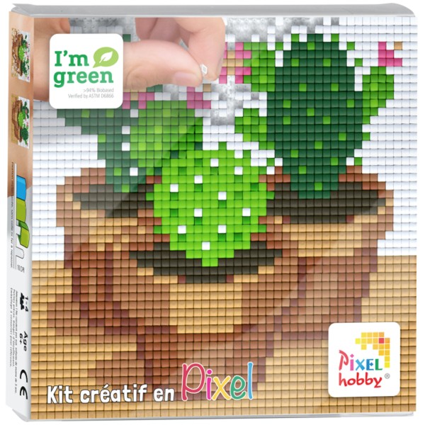 Kit Créatif Pixel - Tableau 12 x 12 cm - Cactus - Photo n°1