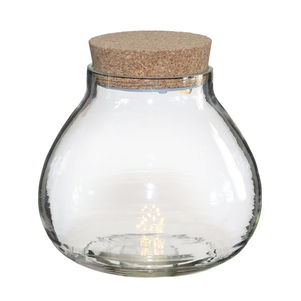 Vase Terrarium avec Led - 15 cm de diamètre - Photo n°1