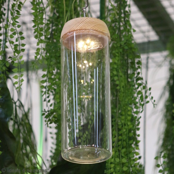 Vase Cylindrique - Terrarium avec LED - 8 x 23 cm - Photo n°2
