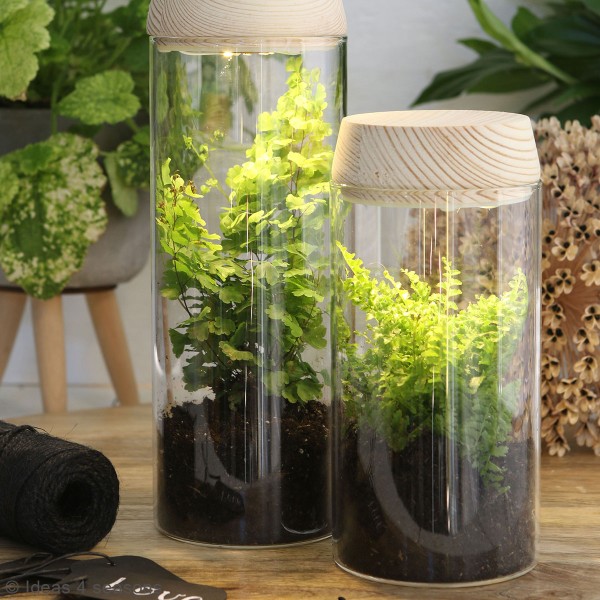 Vase Cylindrique - Terrarium avec LED - 8 x 23 cm - Photo n°3