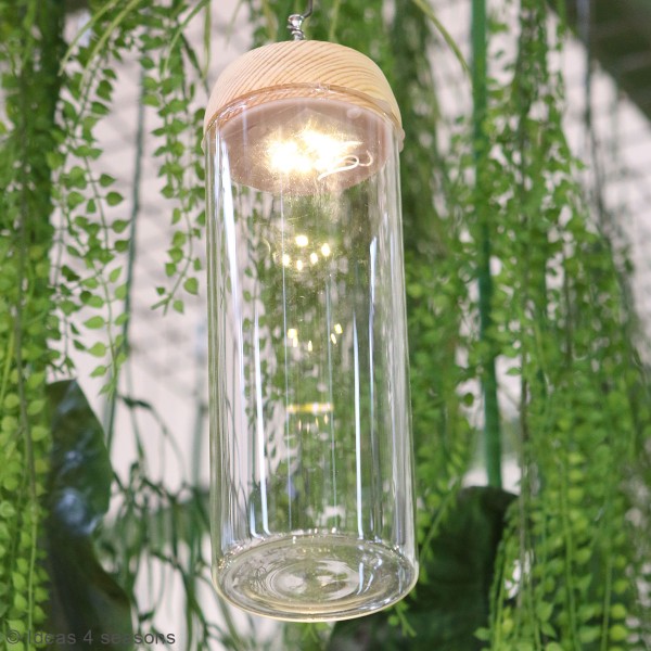 Vase Cylindrique - Terrarium avec LED - 8 x 23 cm - Photo n°4