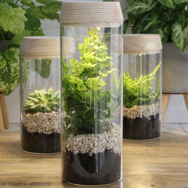 Vase Cylindrique - Terrarium avec LED - 8 x 23 cm - Photo n°6