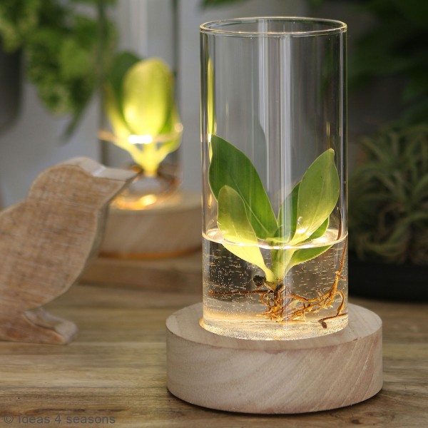 Vase avec base en bois lumineuse - 10,5 cm - Photo n°3
