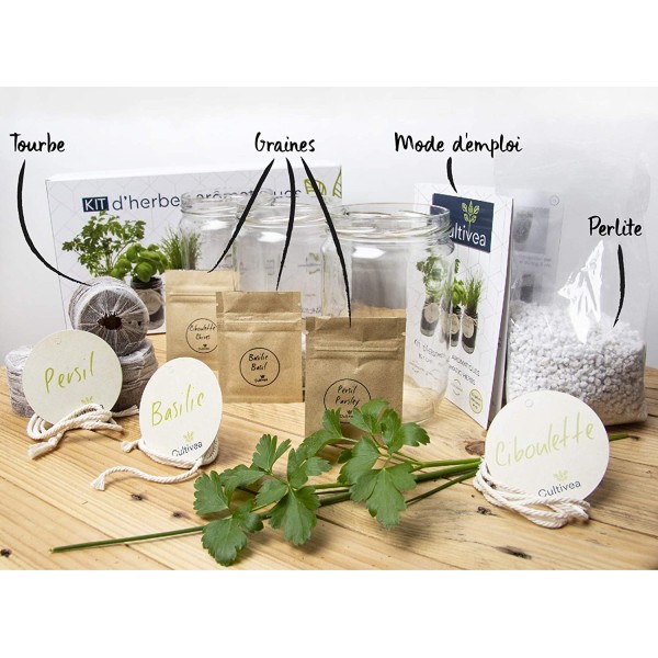 Cultivea– Kit d’Herbes Aromatiques – Graines FR 100% BIO – (Basilic, Persil et Ciboulette) - Photo n°2