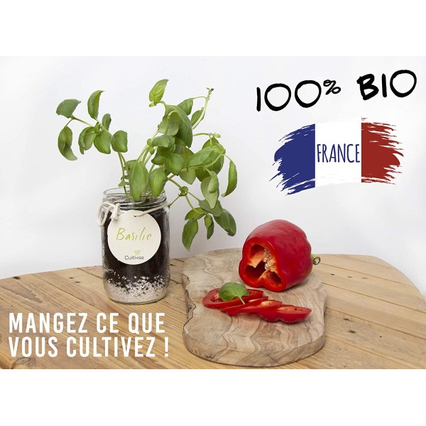 Cultivea– Kit d’Herbes Aromatiques – Graines FR 100% BIO – (Basilic, Persil et Ciboulette) - Photo n°3