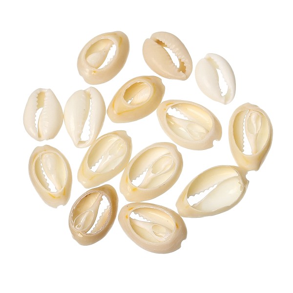 10 Perles Coquillages de Cauris Naturelle Porcelaine 21mm x 13mm - 15mm x 10mm - Photo n°1