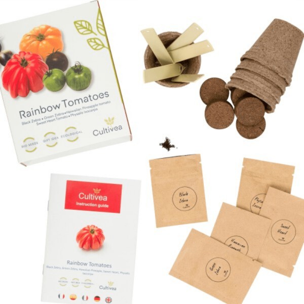 Cultivea Mini - Kit Prêt à Pousser Tomates colorées - Graines 100% Bio et françaises -  (Tomates) - Photo n°3