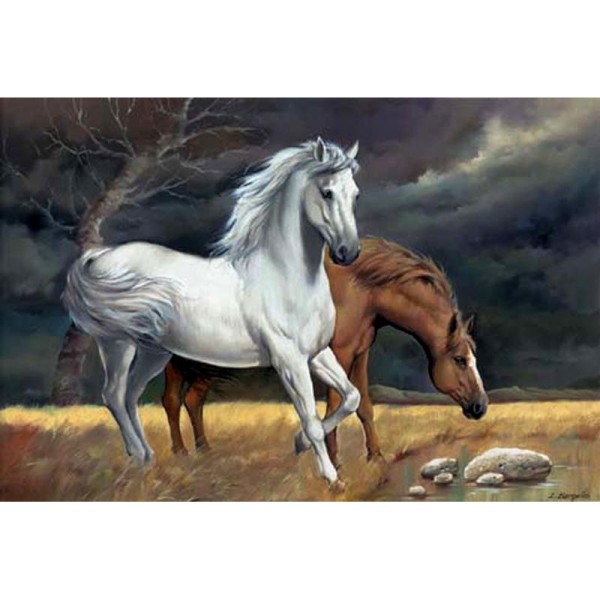 Image 3D Animaux - 2 chevaux 30 x 40 - Photo n°1