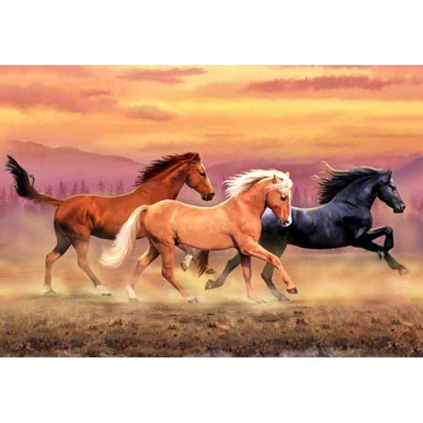 Image 3D Animaux - 3 chevaux au galop 30 x 40 - Photo n°1
