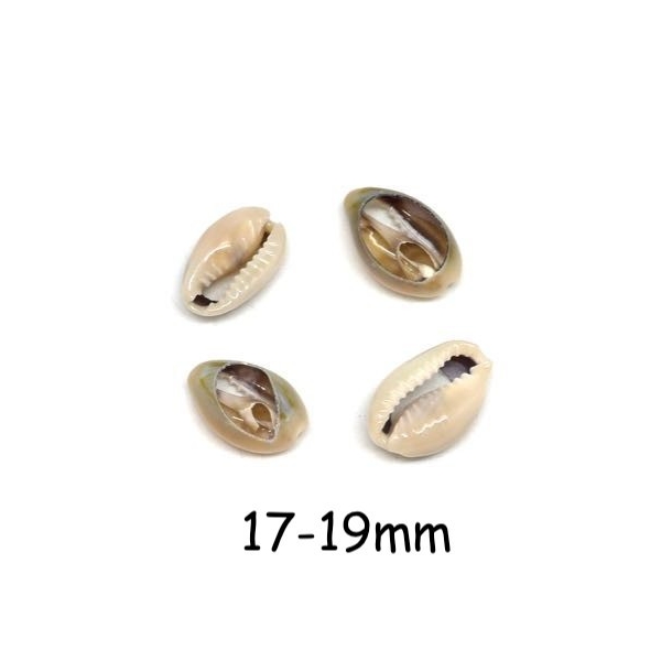 10 Perles Coquillage Cauris Beige Marbré Ouverts Tailles De 17mm À 19mm - Photo n°1