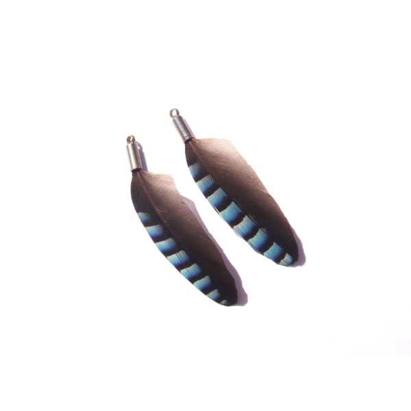 Geai Bleu : Paire de pendentifs 4 CM de hauteur x 1.2 CM de largeur environ - Photo n°1