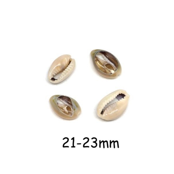 10 Perles Coquillage Cauris Beige Marbré Ouverts Tailles De 21mm À 23mm - Photo n°1