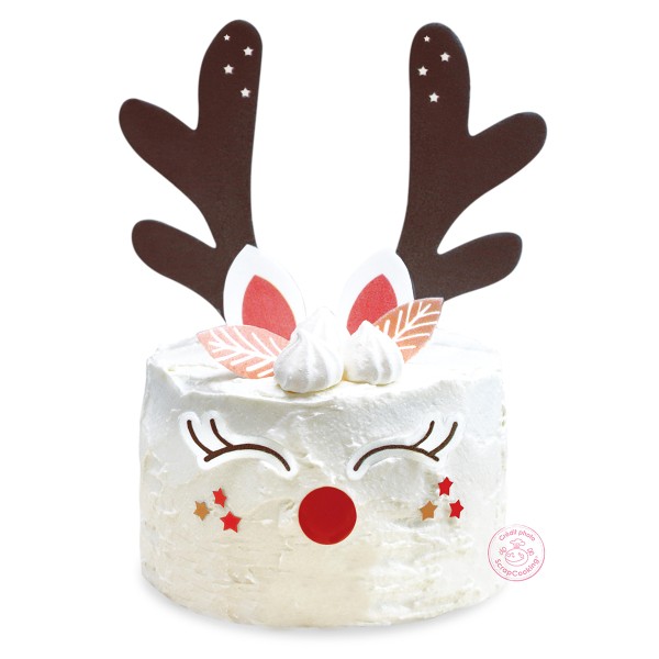 Kit Décoration de gâteau Renne de Noël : Chez Rentreediscount Loisirs  créatifs
