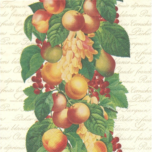 4 Serviettes en papier Guirlande de fruits Raisin Format Lunch Decoupage Decopatch L-191611 Paw - Photo n°1