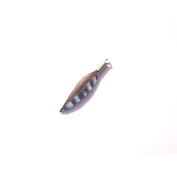 MINI Pendentif plume Geai bleu 3.2 CM de hauteur x 7MM max de largeur - Photo n°1