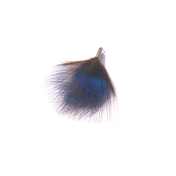 Pendentif Paon Bleu 4,1 CM de hauteur x 3,7 CM de largeur - Photo n°1