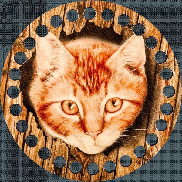 Organisateur De Fil de broderie de point de croix de chat de gingembre, support de Mouline 15cm x 15 - Photo n°2