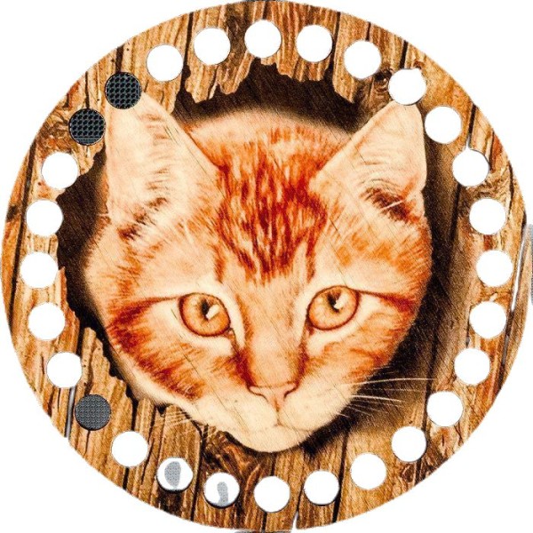 Organisateur De Fil de broderie de point de croix de chat de gingembre, support de Mouline 15cm x 15 - Photo n°1