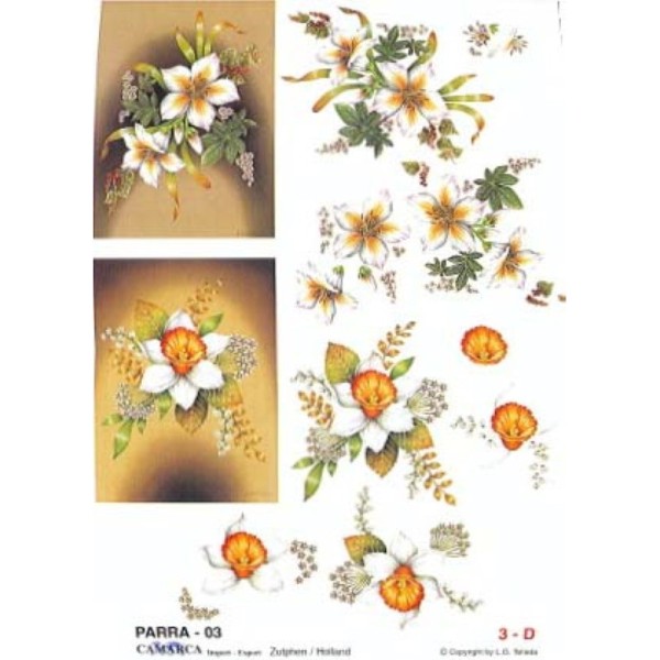 Carte 3D à découper - PARRA 03 - Fleurs blanches - Photo n°1