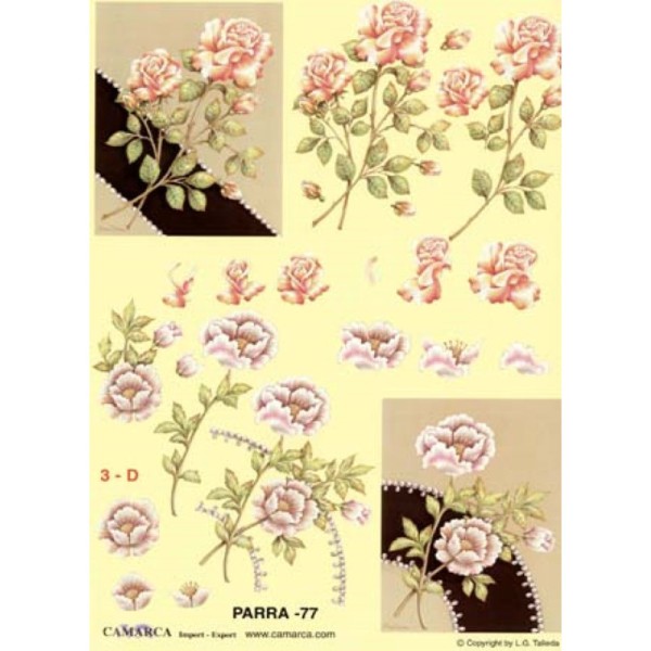 Carte 3D à découper - PARRA 77 - Roses blanches et roses - Photo n°1