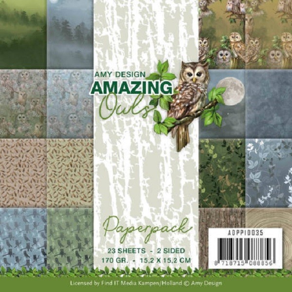 Papier scrapbooking Amy Design Amazing Owls - 15X15 - 23 feuilles - Photo n°1