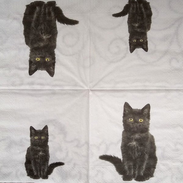 4 serviettes en papier découpage collage 33 cm CHAT NOIR - Photo n°2