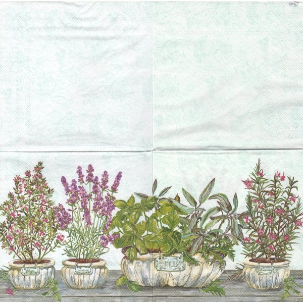 4 Serviettes en papier Herbes Thym Lavande Romarin Format Lunch Decoupage SLOG-027201 Pol-Mak - Photo n°1