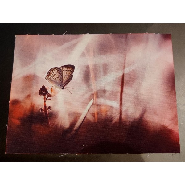 Coupon tissu - papillon sur une fleur - coton épais - 20x15cm - Photo n°1