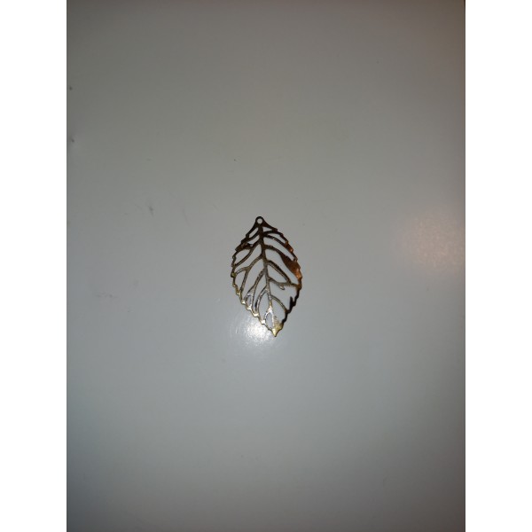Un squelette de feuilles pour embellir votre bijoux - Photo n°1